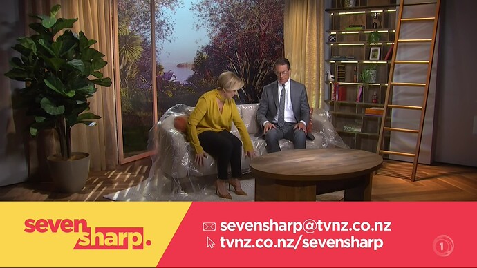 TVNZ 1 Screen Shot 21-11-22, 7.29 PM