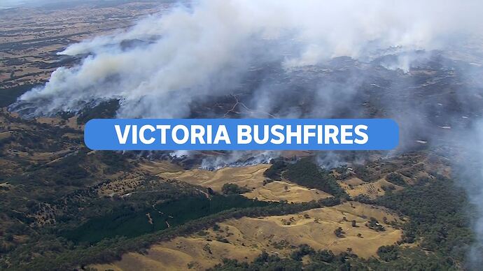 vlc-record-2026-01-10-01h59m07s-udp___127.0.0.1_5000-.ts_010847164