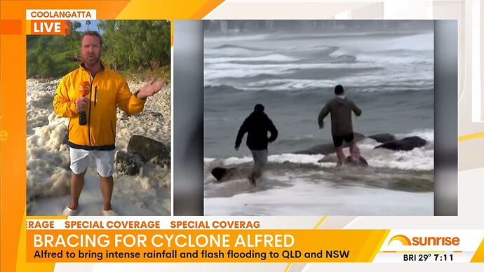 Covert_Affairs_20250306_0134.ts_020224527