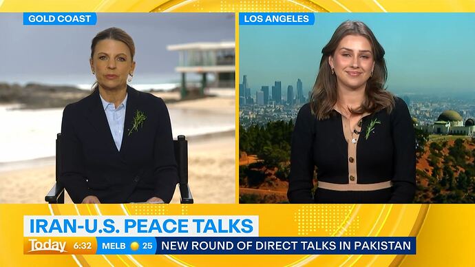 04-24_20-38-21_Channel 9 Sydney_Channel 9 Sydney.ts_035683998