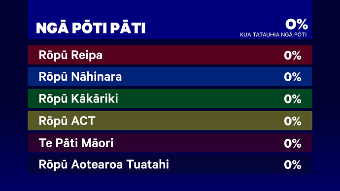 Election 2023 - Māori electorates-8