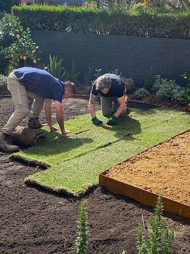 Charlie starts a garden from scratch