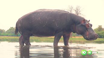 The_Project_20230109_1924.ts_001928040