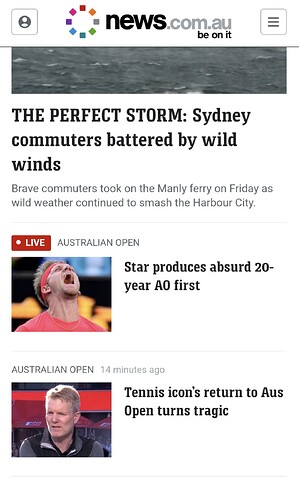 Screenshot_20250117_222550_Samsung Internet