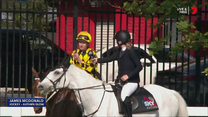 Seven's_Horse_Racing_20251101_1306.ts_009947144