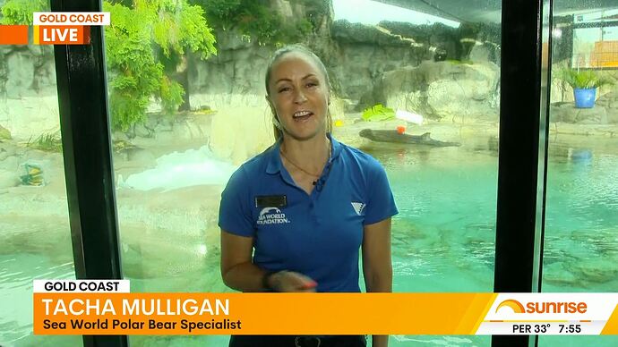 20260227004002.mp4_026116681