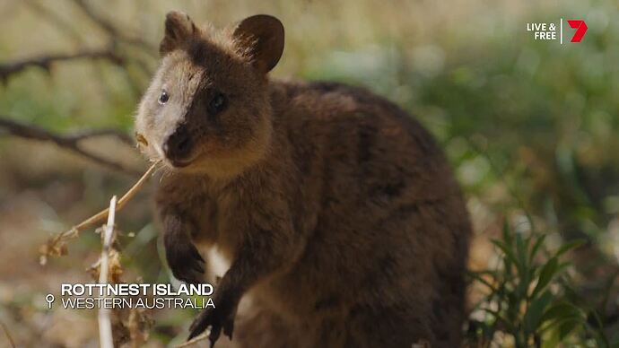 The_ASHES_20260107_1430.ts_025410252