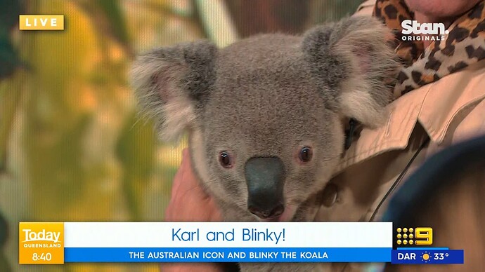 Today_20230906_0736.ts_003875160