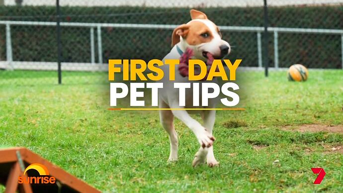 Sunrise_20260127_0811.ts_003421728