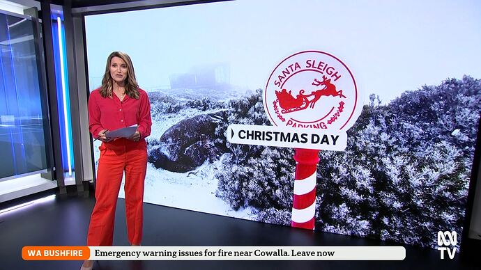 A_Boy_Called_Christmas_20251225_1611.ts_010181184