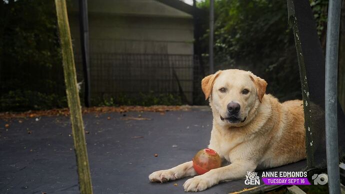 Deal_Or_No_Deal_20250827_1921.ts_000670800