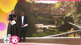 10HDSydney2022-02-17 10-47-18.mp4_000598053