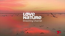 7mate - 2022-07-14 19-48-11 - MOVIE  AVP  Alien vs. Predator.ts -_00009