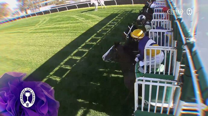 11-08_14-53-57_9 Syd_9 Syd.ts_000429640