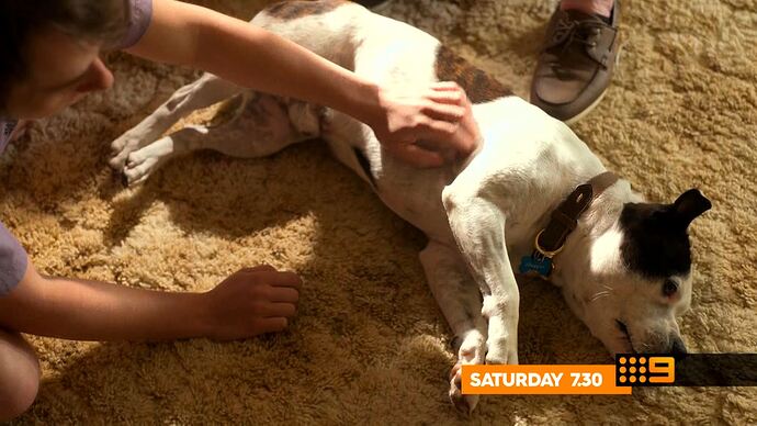 Elf_(2003)_20251219_2100.ts_000552077