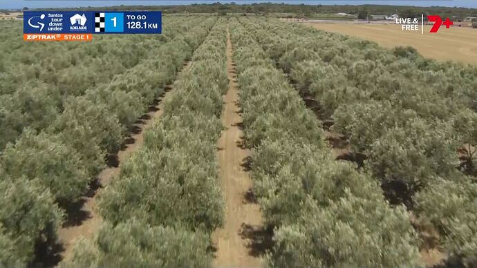 20260117103519.mp4_001223647