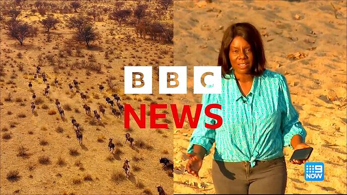 04-10_08-02-40_Channel 9 Sydney_Channel 9 Sydney.ts_004555677