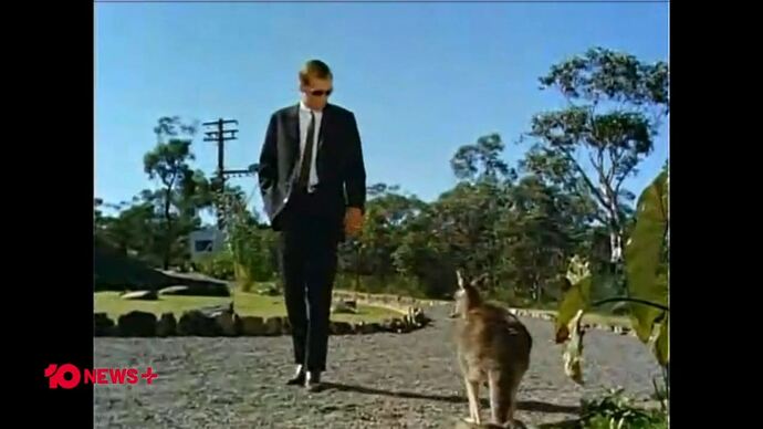 11-10_15-31-07_10 Syd HD_10 Syd HD.ts_005518548