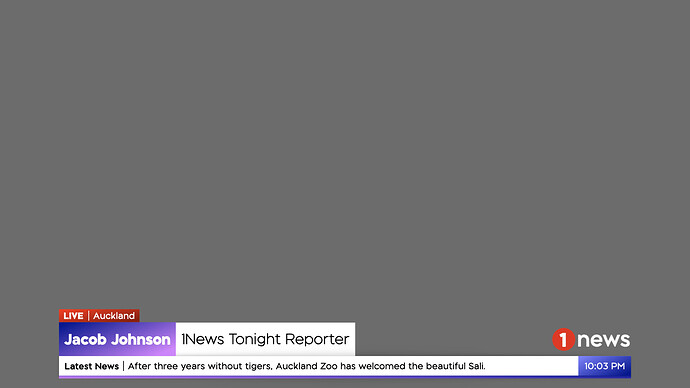 1News mock.011