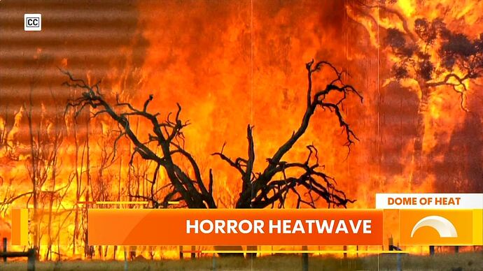 20260124001710.mp4_024153554