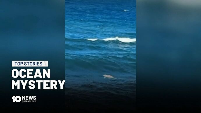 01-14_14-53-14_10 Sydney_10 Sydney.ts_000701801