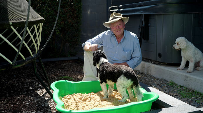 HARRY- BACKYARD CORNER CAVOODLES - EP 20.PNG