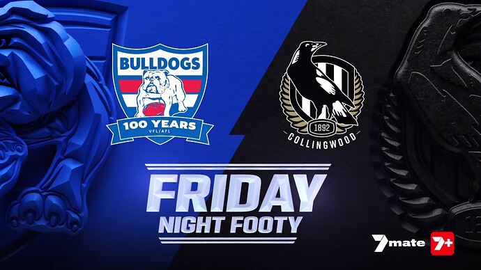 Covert_Affairs_20250320_0103.ts_023016287