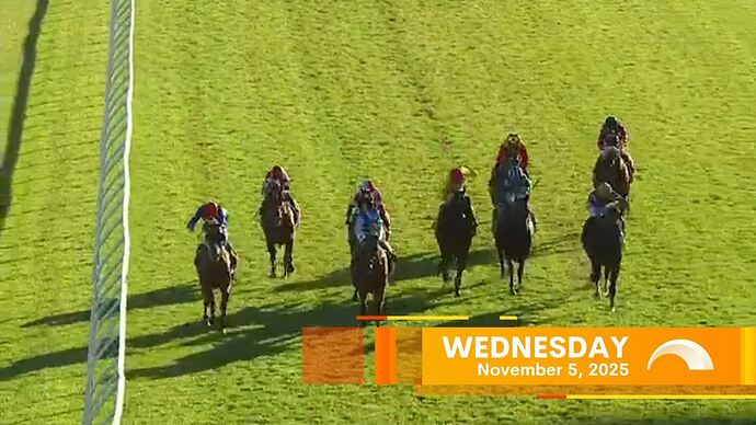 20251105014846.mp4_013345527