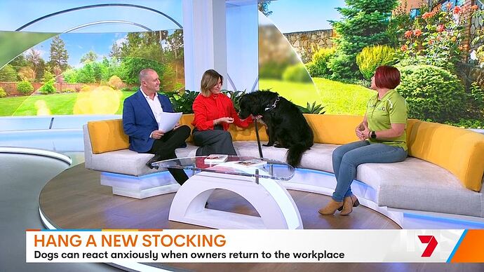 11-24_09-04-34_Seven Sydney_Seven Sydney.ts_002093192