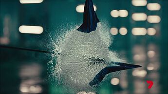 20220731172401.mp4_005794860