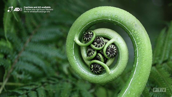 Captions and AD available