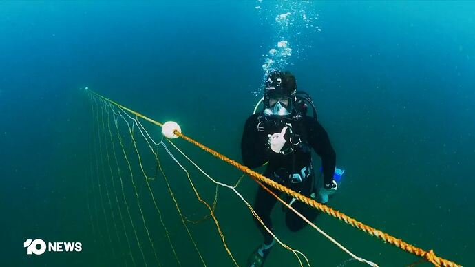 11-24_15-04-27_10 Melbourne_10 Melbourne.ts_004418962