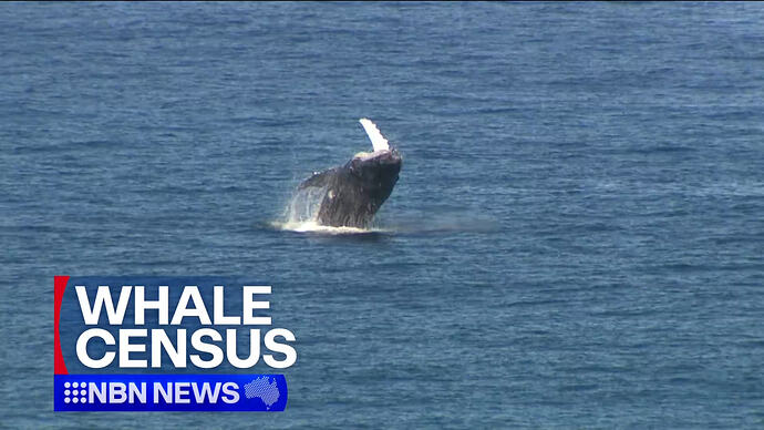 Channel 9 (Newcastle) 06-29 17-30-53