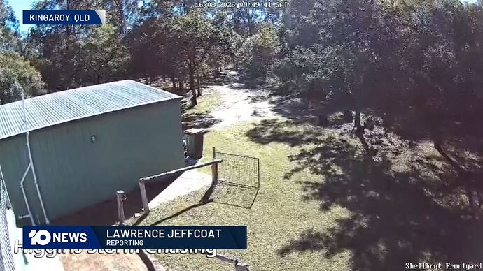 Dogs_Behaving_(Very)_Badly_Australia_20250816_1506.ts_007015108