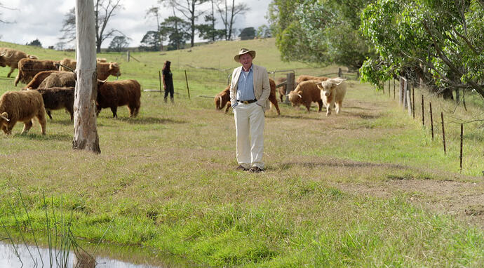 HARRY - HAIRY COWS - EP35