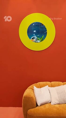 THE HOUSE IS HERE!   #BBAU - Starts 7.00 Sunday on @channel10au - Watch + Live Stream 24-7.mp4_000012528