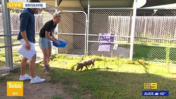 The_Weakest_Link_20211218_0102.ts_025731581