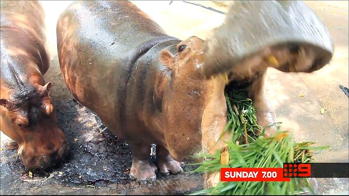 07-17_08-04-21_Channel 9 Sydney_Channel 9 Sydney.ts_001024326