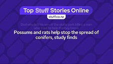 Three Screenshot 2024-07-08 18-22-47