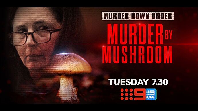 07-07_17-29-59_Channel 9 Sydney_Channel 9 Sydney.ts_007161833