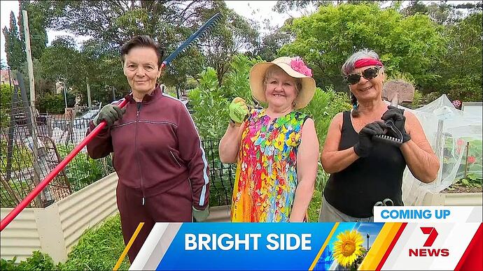 10-12_16-19-25_Seven Sydney_Seven Sydney.ts_006585880