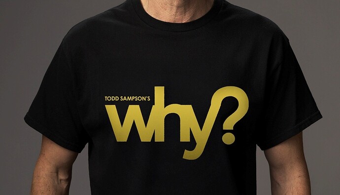 Todd Sampsons Why