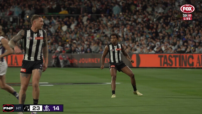 quanor micd up - fox