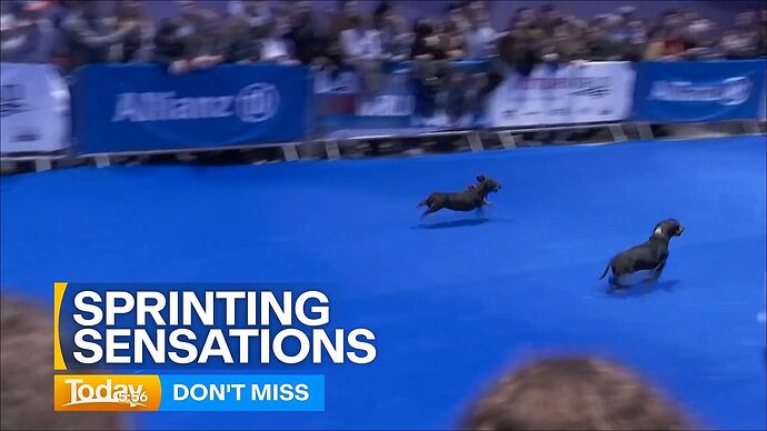 10-13_03-55-36_Channel 9 Melbourne_Channel 9 Melbourne.ts_003192820