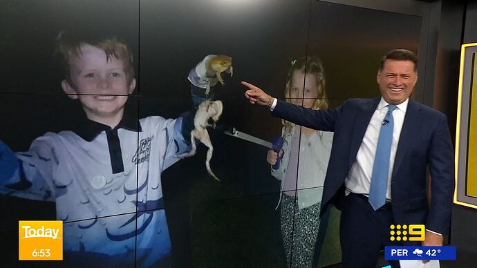 01-20_01-45-54_Channel 9_Channel 9.ts_014803577