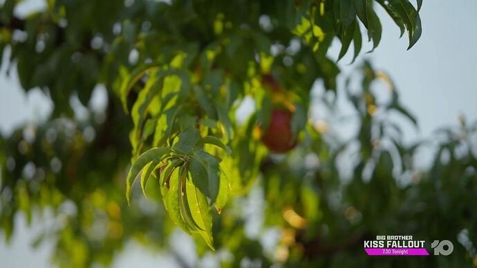 Farm_To_Fork_20251114_1204.ts_000013143