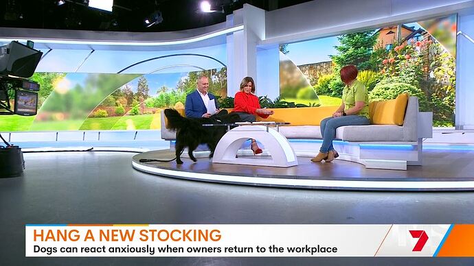 11-24_09-04-34_Seven Sydney_Seven Sydney.ts_002088442