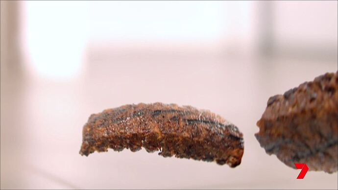 Better_Homes_And_Gardens_20251017_1907.ts_000133655