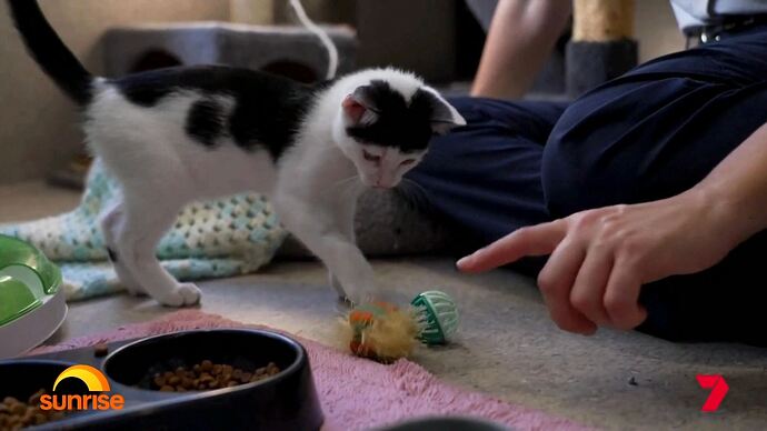 Sunrise_20260127_0811.ts_003425622