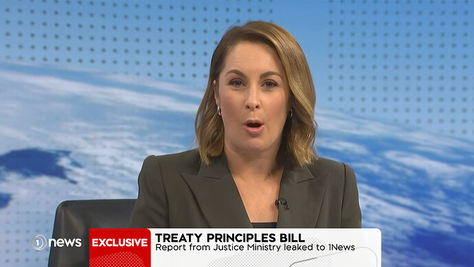 1News 2024 - Exclusive Headline v2